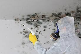 Mold Remediation for Vacation Homes in East Milton, FL